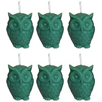 Phobis Green Owl Candle for Healing and Decoration (Pack of 6)