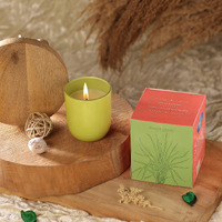 Parkash Candles Premium Scented Glass Candle (Lemon Grass)