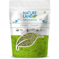 Natureland Organics Fennel (Saunf) 100 gm - Organic Saunf