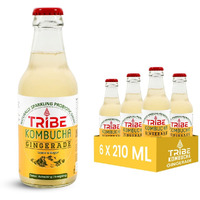 Tribe Kombucha Naturally Sparkling Probiotic Herbal Tea | Ginger & Lemon | Gut Friendly | Gluten free | Antioxidant and Hydration | Ginerade | Pack of 6 |210 ML