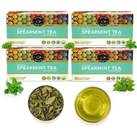TEACURRY Spearmint Leaf Tea Bag - Helps With Hormonal Imbalance, Facial Hair, And Memory | Spearmint Loose Leaf ((120 Tea Bags - 4 Month Pack)) - 60Gm