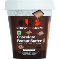 Growfitz Peanut Butter (Chocolate, 500g)