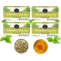 TEACURRY Raspberry Bags - (4 Month Pack | 120 Tea Bags) - Helps With Women Health - Raspberry Leaf Tea, Green Tea, 200 Gram