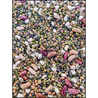 Raindrop Home Products - Eat Right, Live Right Super Food Of Uttarakhand - Authentic Organically Grown Mix Dal Whole/Pachrangi 750 Gm