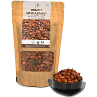 Matratva Organic Masala Peanut Namkeen  250 gm | Organic Namkeen | Rich in Protein | Crunchy & Spicy | Fried in Cold Pressed Groundnut Oil | Healthy Indian Snacks | No Preservatives