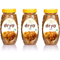 Dryo Dry Fruit Combo Raisin (Pack of 3)