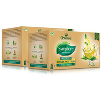 GOODRICKE Symphony Green Tea Ginger & Tulsi Flavour, 25 Tea Bags (Pack Of 2) | 100% Natural Flavour, Detoxifies & Increases Metabolism, 90 Gram