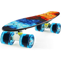 STRAUSS Cruiser FP Skateboard | Penny Skateboard | Casterboard | Hoverboard | Cruiser Fibre Skateboard | Anti-Skid Board with ABEC-7 High Precision Bearings | Ideal for 8 Years and Above (22 X 6 Inch)