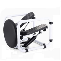Dolphy Fitness Stair Stepper with LCD Monitor, Portable Twist Stair Stepper Household Hydraulic Mute Stepper for Home Gym