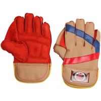 VIRLOK Foam Wicket-Keeping Gloves, Men s, Cricket, Standard, Multi-Colour