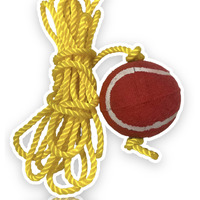 Neo Hanging Cricket Tennis Ball_3.5 Meters (Pack of 1)