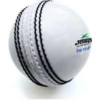 jaspo IncrediBall Soft T20 Cricket Training Ball-1 Ball Indoor Outdoor Play and Cricket Practice (229 cm Circumference), PVC Material, Colour- White
