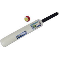 Amazing Kids Cricket kit Set with bat, Balls,- Indoor Beach Outdoor Garden Play Set for 5-10 yrs Kids NO-6?