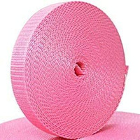 Packard - 10 mt Nylon Canvas Webbing 1-inch Wide for Collars, Leashes, Diving Gear, Sports Gear, Bag Belt, Hiking (Bubble Gum Pink, 10 Meter)