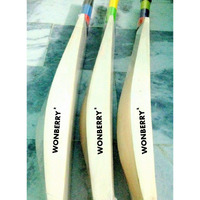Wonberry Low Mid Profile T20 English Willow Cricket Bat Full Size SH