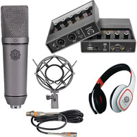 DIGIMORE Professional Condenser Microphone Kit with Audio Interface for Podcasting Live Streaming Singing PC Mobile YouTube (D-410/400)