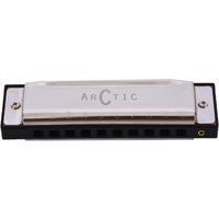ARCTIC AR-HA10 Key C 10 Hole Diatonic Blues Mouth Organ Harmonica for Professional Player, Silver