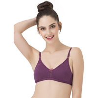 Clovia Women s Cotton Non Padded Wire Free T-Shirt Bra Purple