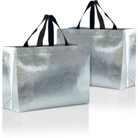 Drapme Large Size Pack of 50 Pcs Glossy Metallic Laminated Non-Woven Reusable Eco-Friendly Party Return Gift Bags (Silver) (Large 17x12x5 Inch)