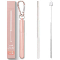 Anab Gi Portable Reusable Drinking Straws With Case| Collapsible And Foldable Telescopic Stainless Steel Straw Dispenser, Long Cleaning Brush, Easy To Clean