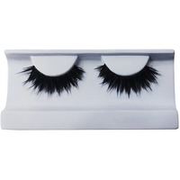 Proarte Black Swan (Pa 124)