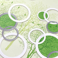Annacreations Self Adhesive Wallpaper Waterproof Vinyl Stickers Pvc Wall Papers (18''Inches X 120'' Inches) (Circle Green)