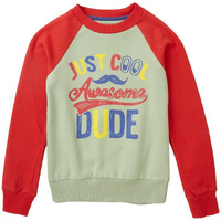 10 Years Boys Sweatshirt By Cub Mcpaws | Cotton Round Neck Full Sleeves Kids Sweatshirt For Boys| Green Stylish Boys Winter Wear| 10-11Y