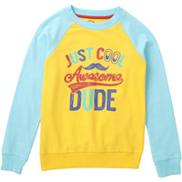 10 Years Boys Sweatshirt By Cub Mcpaws | Cotton Round Neck Full Sleeves Kids Sweatshirt For Boys| Yellow Stylish Boys Winter Wear| 10-11Y