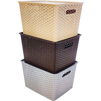 Homestrap Set Of 3 Large Plastic Storage Organizers/Baskets With Lid For Kitchen, Clothes, Multipurpose Vegetables, Toys, Books, Office, Stationery, Wardrobe(Biscuit, Grey, Brown)