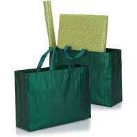 Drapme Large Size Pack Of 10 Pcs Matt Metallic Laminated Non-Woven Reusable Eco-Friendly Party Return Gift Bags (Bottle Green) (Large 17X12X5 Inch)
