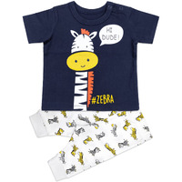 Ariel Cotton Clothing Sets For Baby Boys & Girls - Unisex Clothing Sets Full Sleeve T-Shirt & Pant, Pajama Set, Blue White Zebra, 3 Months-6 Months
