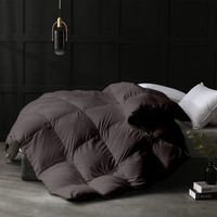 Razzai Mammayo Single Comforter 500 Gsm Winter Comforter Premium Collection Quilted Comforter (60" X 90" Inches/152Cm X 228Cm) - Single Bed Comforter|Dark Grey | Microfibre, Lightweight