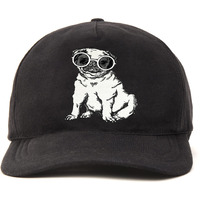Primebox Head Caps For Men Unisex With Adjustable Velcro Strap Cap Summer Caps Men Sports Cricket Caps, Gym Cap (Black Cap Vintage Dog Print)