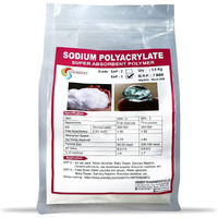 Chemzest Sodium Polyacrylate Sap-3