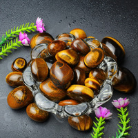 Remedywala Energized Tiger Eye Tumble Stones| 100 Grams