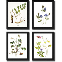 Interio Crafts Set Of 4 Botanical Leaf Art Framed Posters, Wall Hanging Floral Arts For Living Room (Frame Size 13X10 Inches