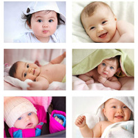 Manial Set Of 6 Paper Children Posters, Laminated, Multicolour, 12X18 Inch