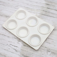 Little Birdie Artists Plastic Palette 9Inch X 5.9Inch 6 Well