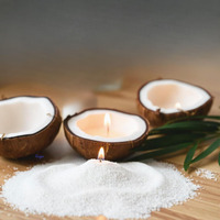 Kunya Diy Sand Wax Powder Candle Making Kit With Natural Coconut Shell Refillable Beaded Pearled All Natural Reusable Self Extinguish Candle For Home Decor (200 Gm)
