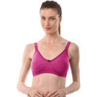 Vanila Lingerie Seamless Milanch Fabric D Cup Everyday Wear Full Coverage Non-Padded Non-Wired T-Shirt Bra For Women Pink