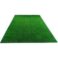 Bombay Dreams 45 Mm High Density Artificial Lawn | Premium Grass Lawn Turf | Indoor & Outdoor Usecarpet Mat | Dust & Waterproof | Skin Friendly | Artificial Lawn Carpet Mat (Size - 6.5 X 7 Feet)