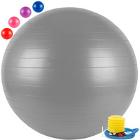 Toyshine Pvc Gym Ball For Core Strength, Yoga And Fitness With Pump (Size - 55 Cm, Grey)