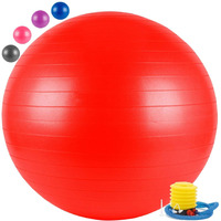 Toyshine Gym Ball, Exercise Equipment For Core Strength, Yoga And Fitness With Pump, 85 Cm, Color May Vary (Sstp)
