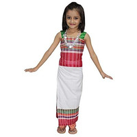Kaku Fancy Dresses Polyester Blend Indian State Dance Costume Multicolor, 3-4 Years For Girls