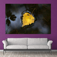 Inephos Unframed Canvas Water And Leaf Nature Art Wall Painting (91Cm X 61Cm, Multicolor)