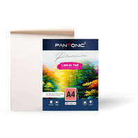 Variety Canvas Pantonic 10X12 Inch 400 Gsm Canvas Pad Book, Canvas Painting Book For Professionals, Students & Beginners (10X12 Inch (Large))