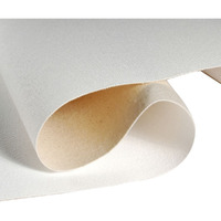 Brustro Cotton Canvas Rolls 786 42" X 10 Mtr