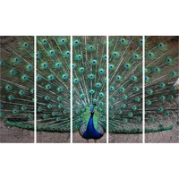 Inephos Vinyl Nature Painting, Multicolour, Peacock, Standard