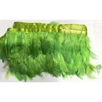 Omx Natural Dyed Feathers Lace (2-4 Inch) (9 Mtr, Light Green)