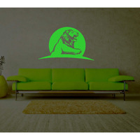 Dreamkraft Glow In The Dark Kids Room Decor Radium Sticker (Green, 30X19 Cm)